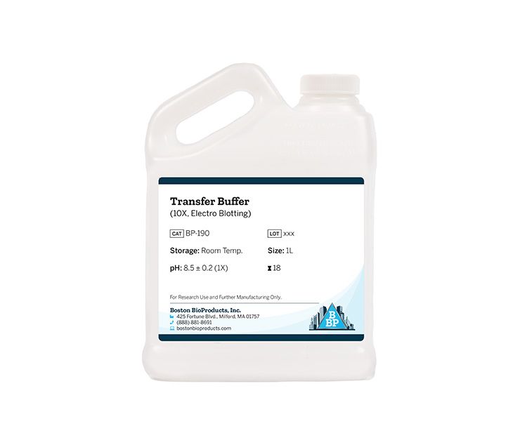 Transfer Buffer (10X, Electro Blotting) | Boston BioProducts